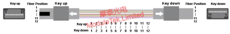 Type A straight-through wiring sequence definition