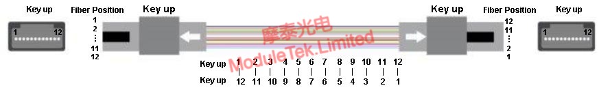 Type B Full Crossover Wiring Sequence Definition