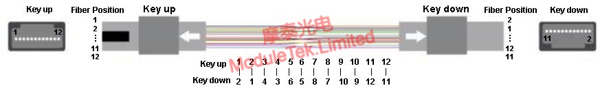Type C Pair Crossover Sequence Definition