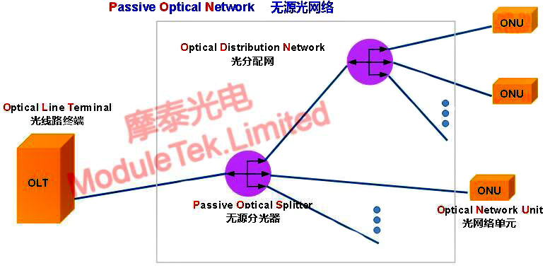 PON的网络架构图