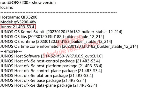 View the current switch running software version