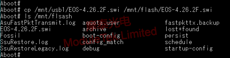 Copying USB system files to the switch flash