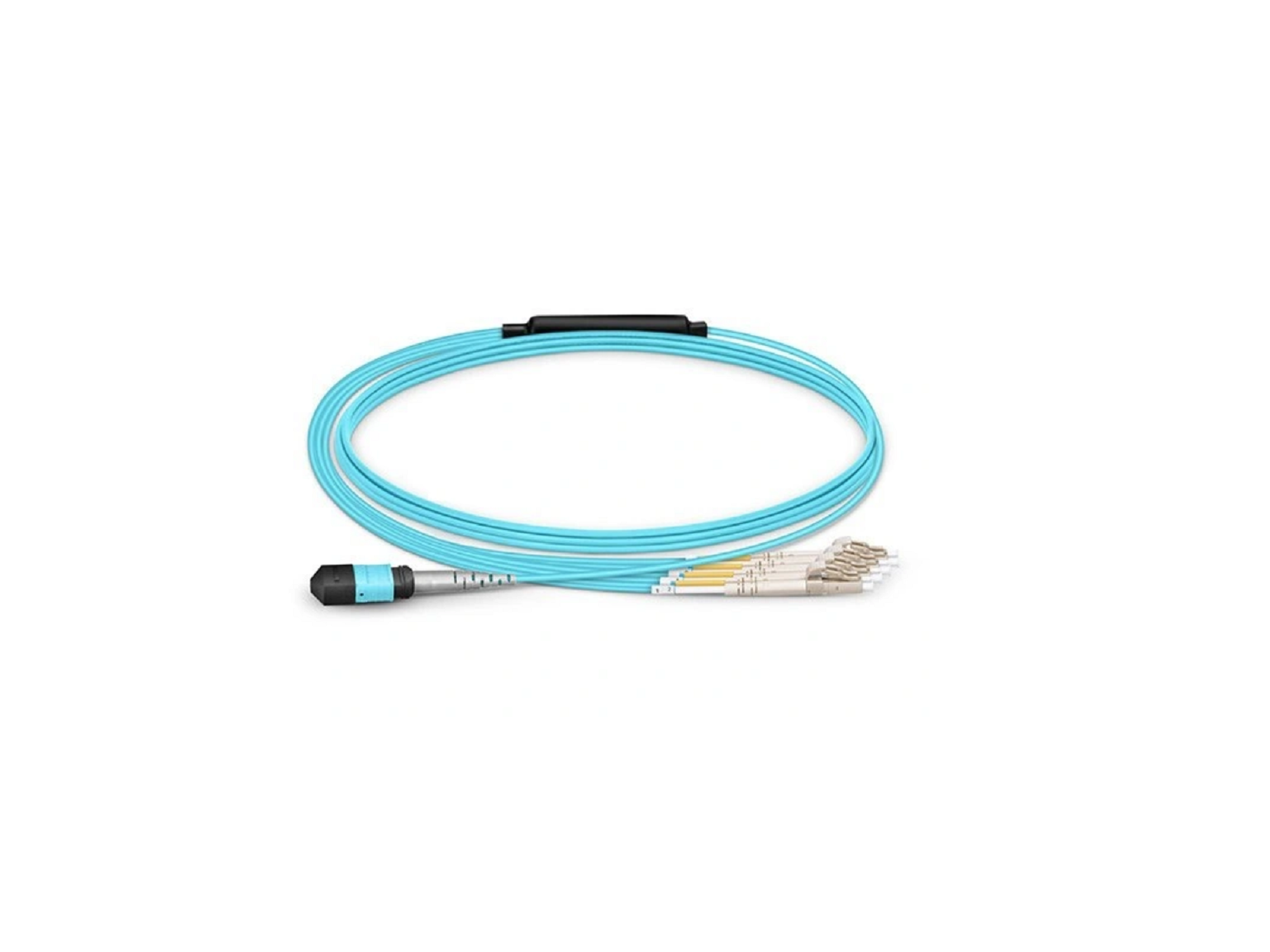 MTP/MPO Branch Patch Cord