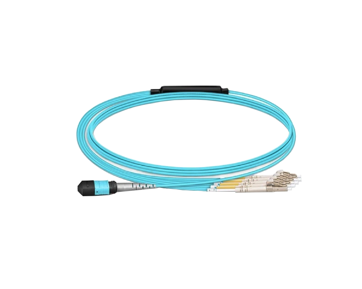 MTP/MPO Branch Patch Cord